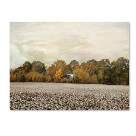 Jai Johnson 'The Old Cotton Barn' Canvas Art,14x19